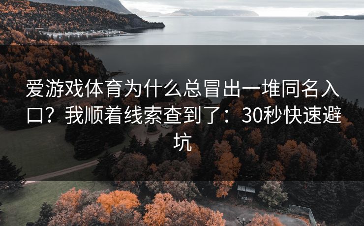 爱游戏体育为什么总冒出一堆同名入口？我顺着线索查到了：30秒快速避坑