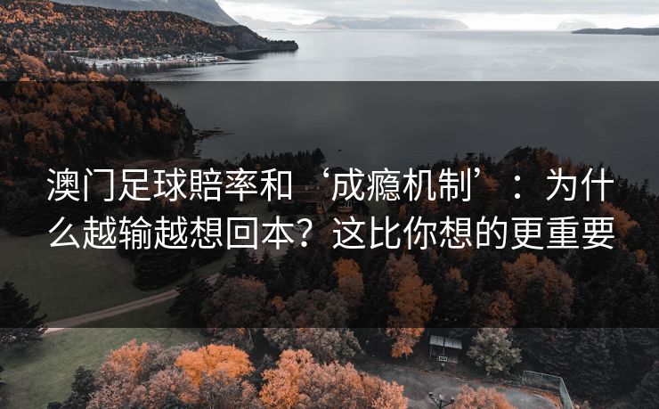澳门足球賠率和‘成瘾机制’：为什么越输越想回本？这比你想的更重要